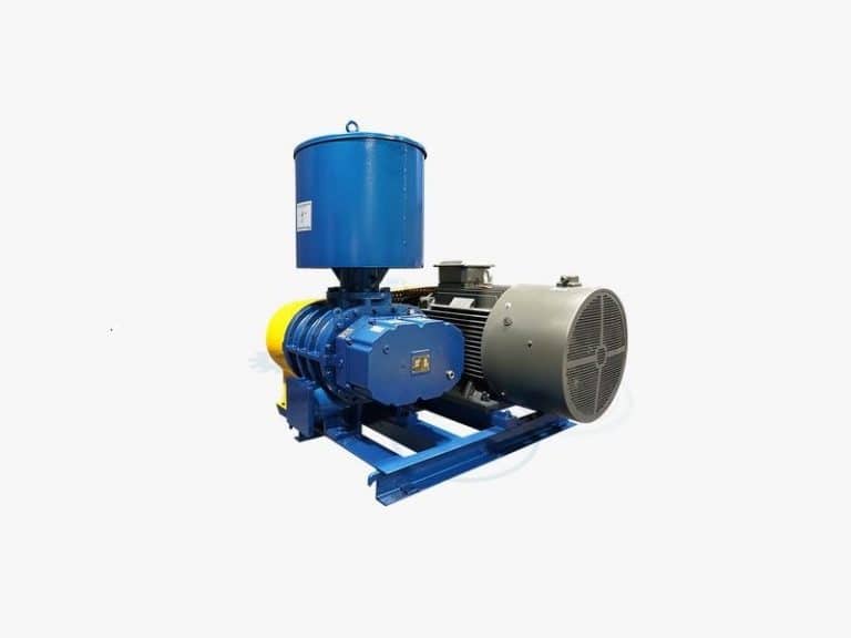 Roots lobe positive displacement blower