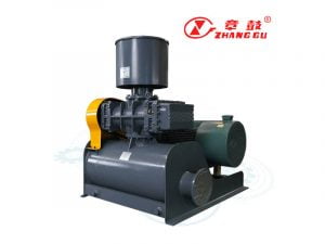 Zhang-Gu-PD-blower2