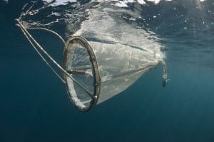 Plankton-Net
