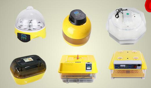egg-incubators
