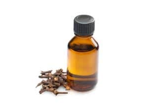 clove oil