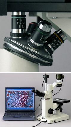 inverted-tissue-culture-microscope