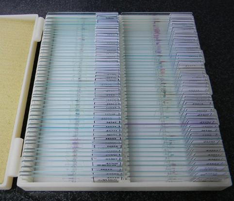 microscopeslides-100set