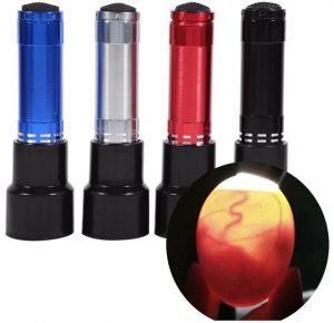 battery egg candler for chick embryo development